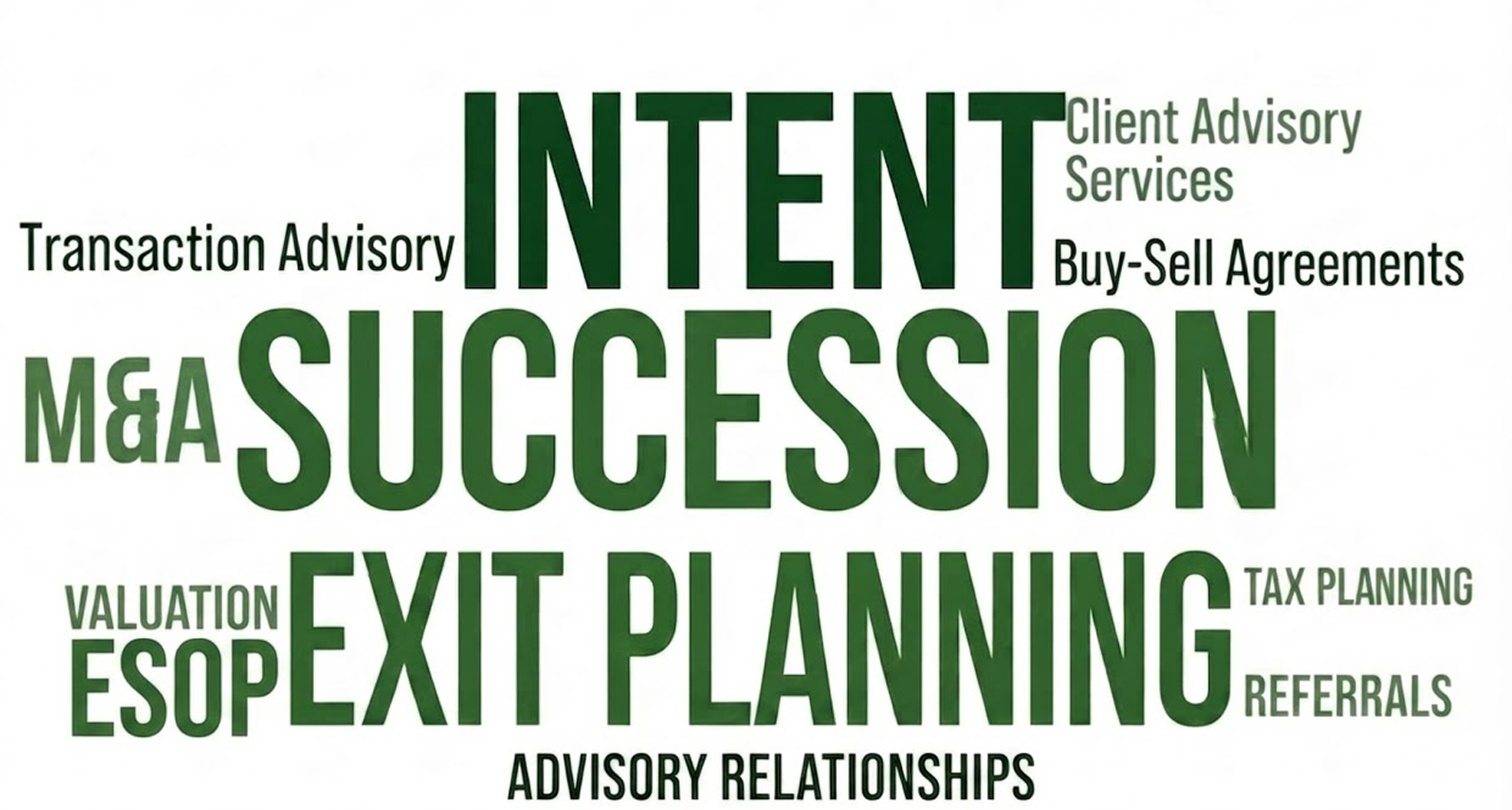 Word cloud highlighting phrases important to succession planning and exit strategy.